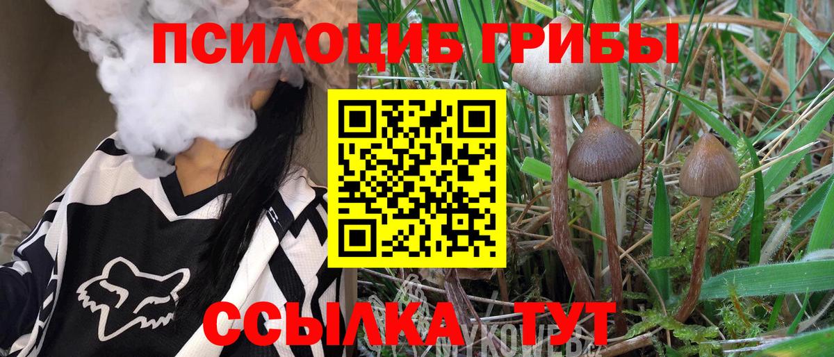 Псилоцибиновые грибы мицелий Сосновоборск